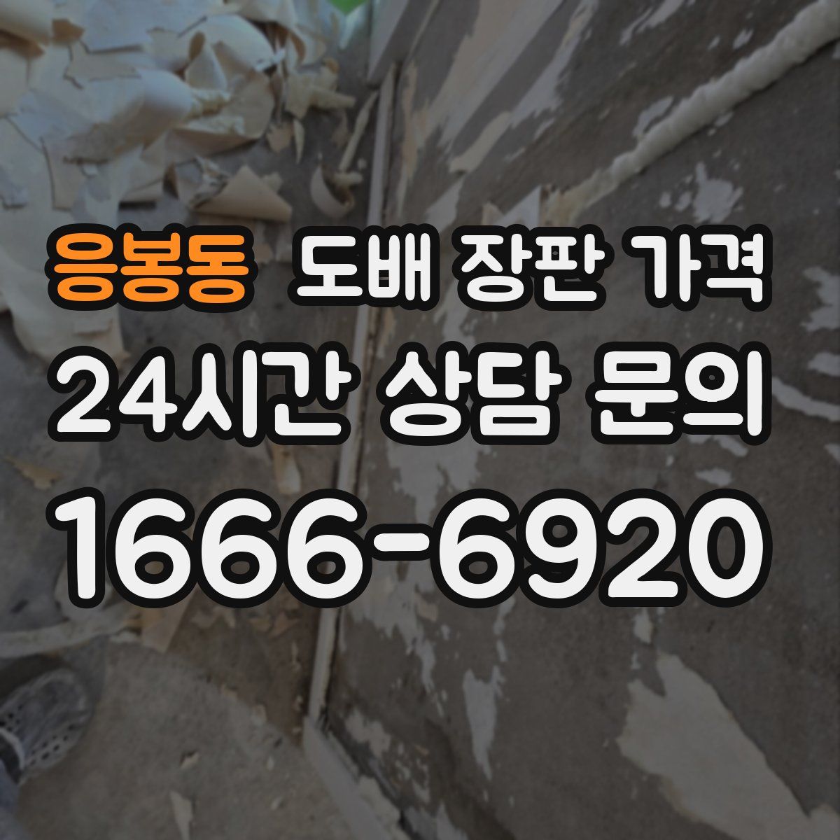 응봉동 도배 장판 가격