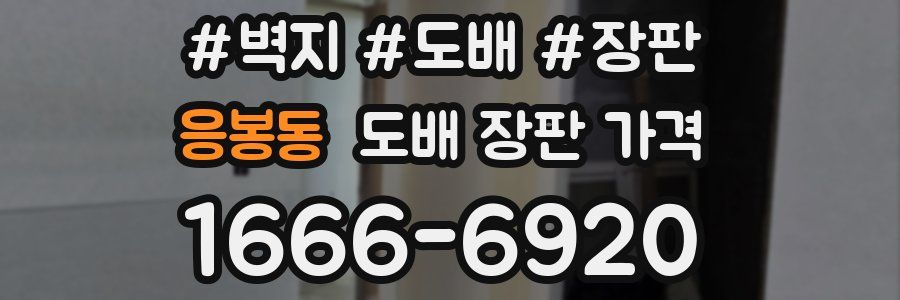 응봉동 도배 장판 가격