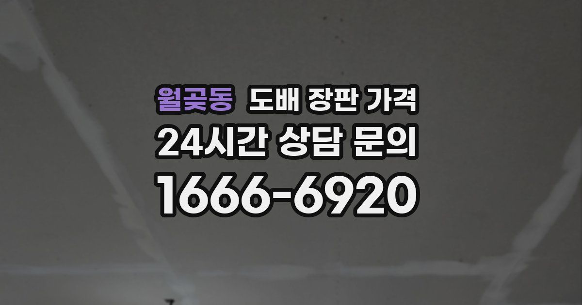 월곶동 도배 장판 가격