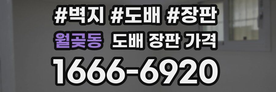월곶동 도배 장판 가격