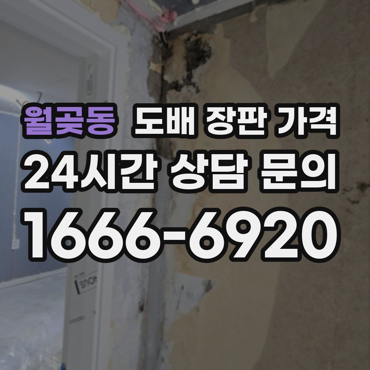 월곶동 도배 장판 가격