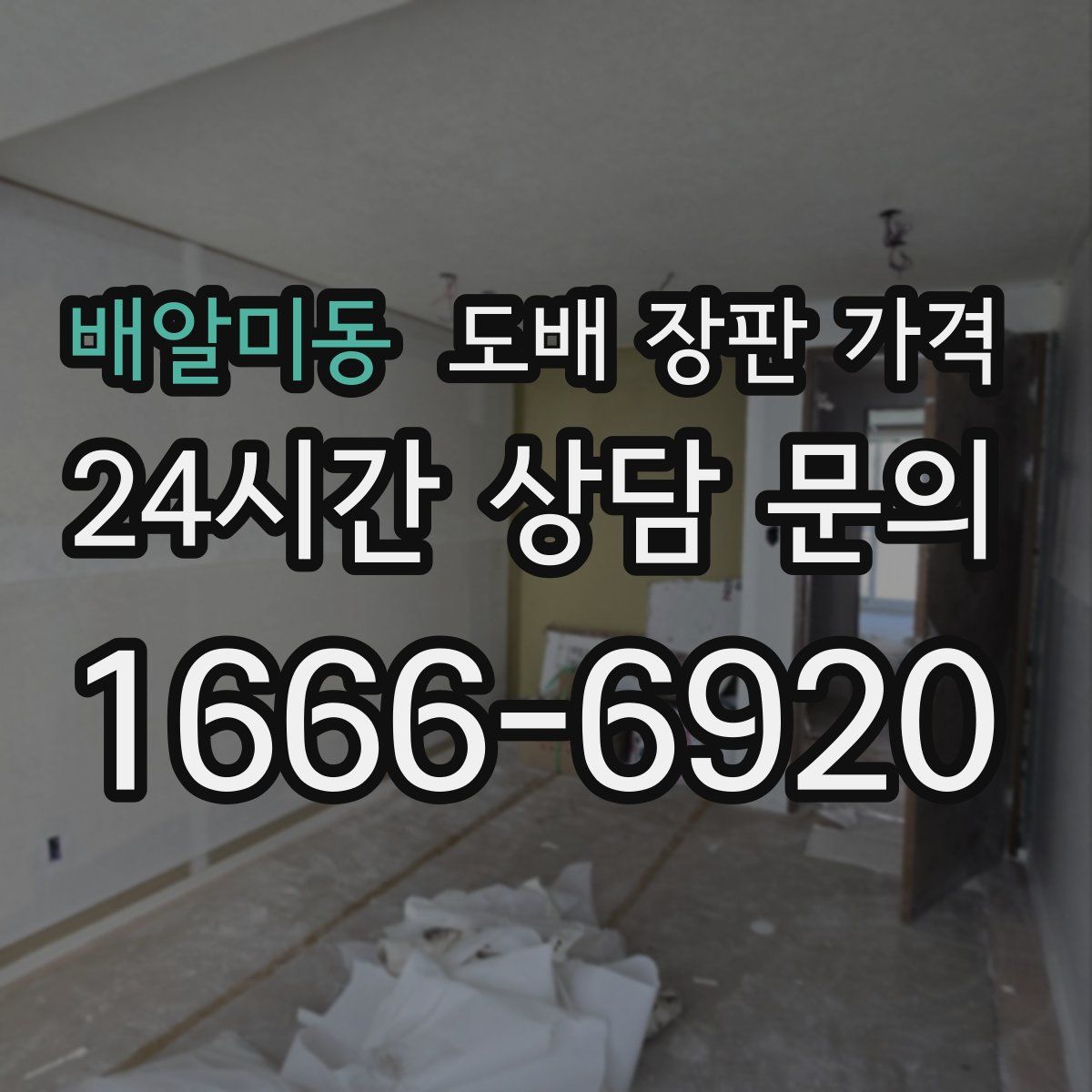 배알미동 도배 장판 가격