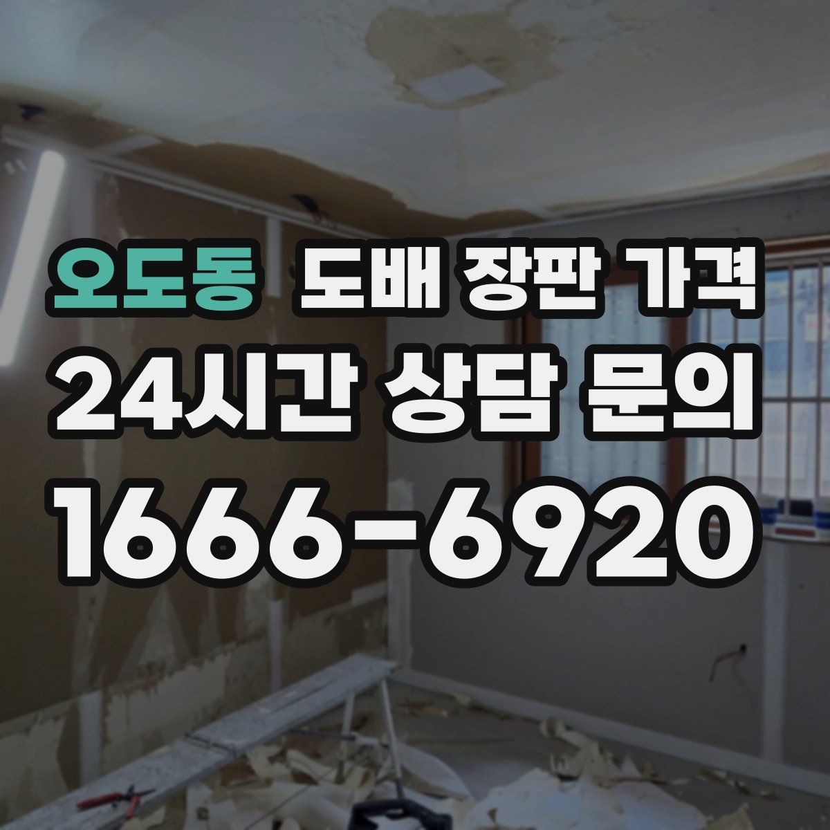 오도동 도배 장판 가격