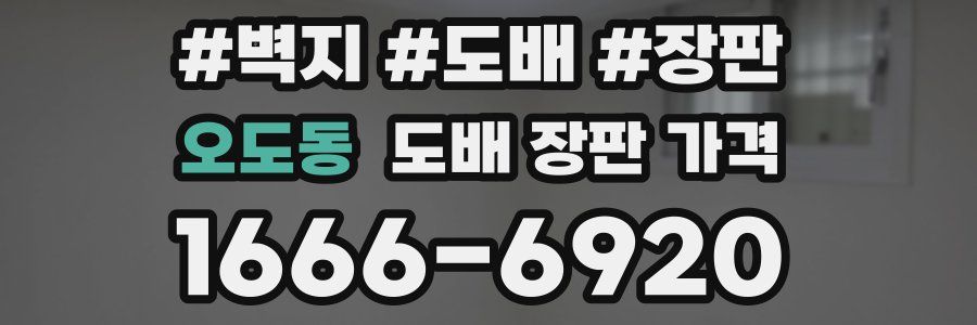 오도동 도배 장판 가격