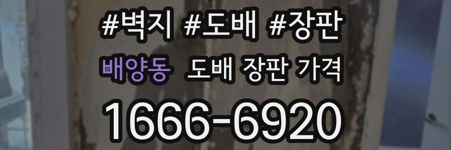 배양동 도배 장판 가격