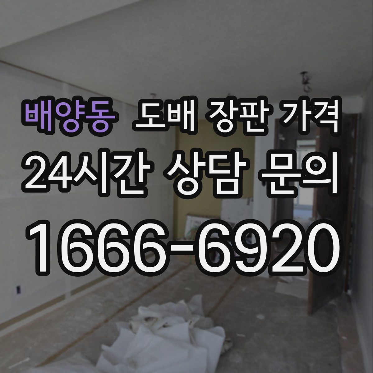 배양동 도배 장판 가격