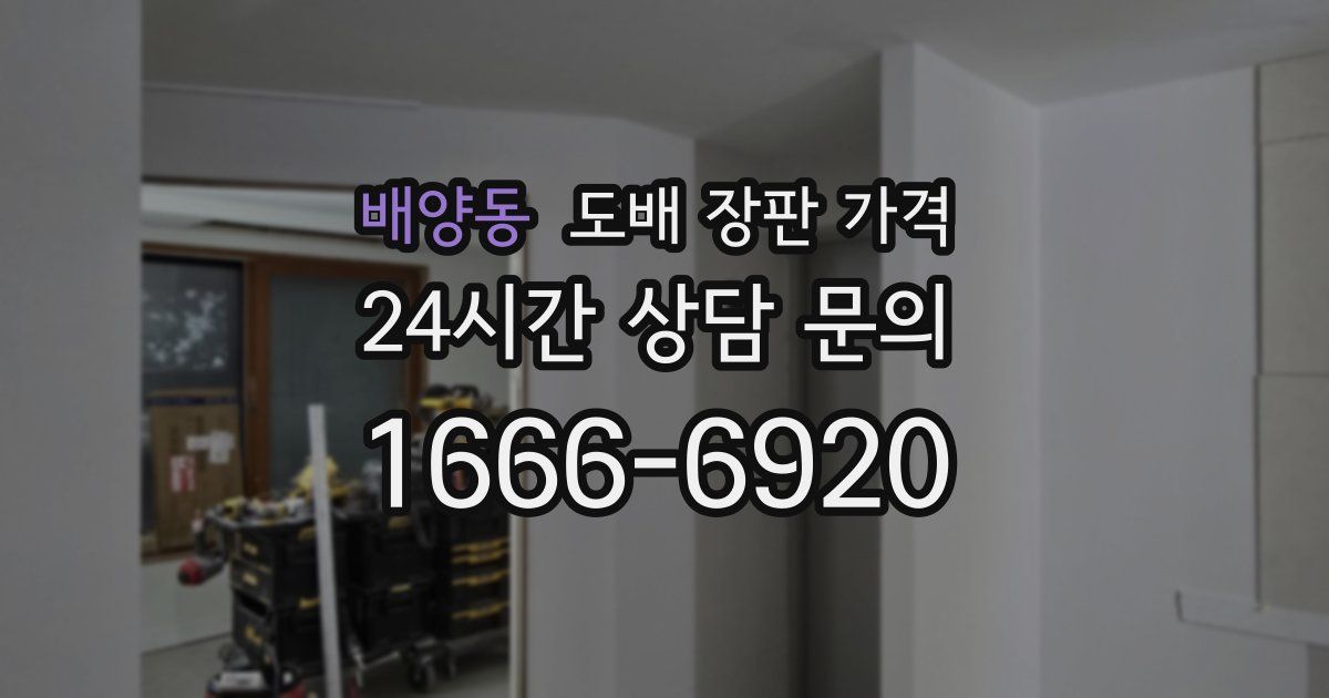 배양동 도배 장판 가격