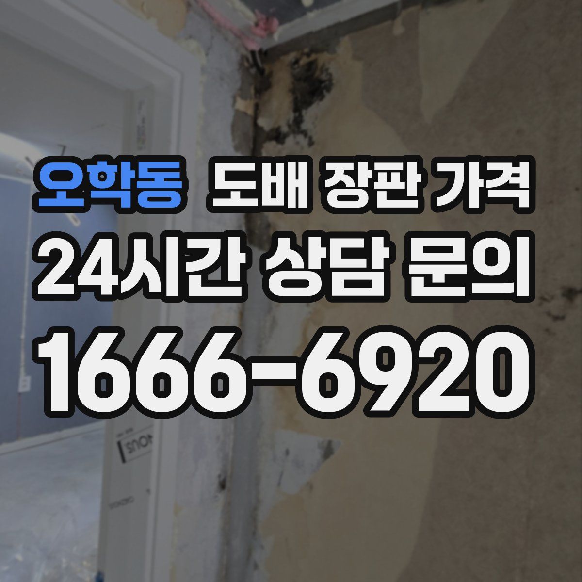 오학동 도배 장판 가격