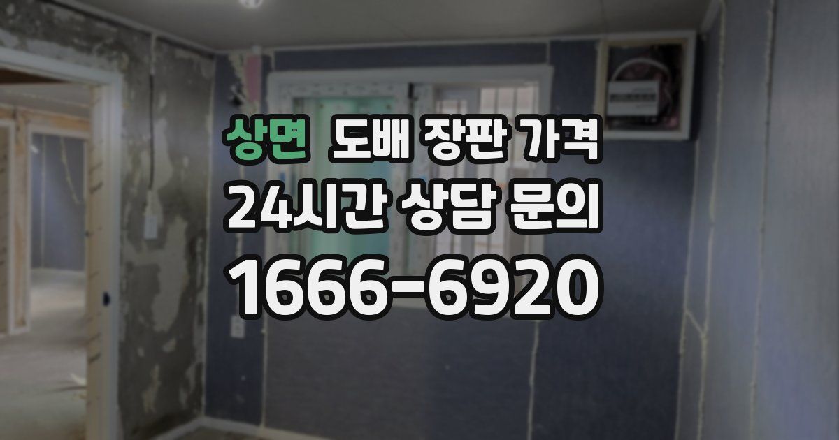 상면 도배 장판 가격