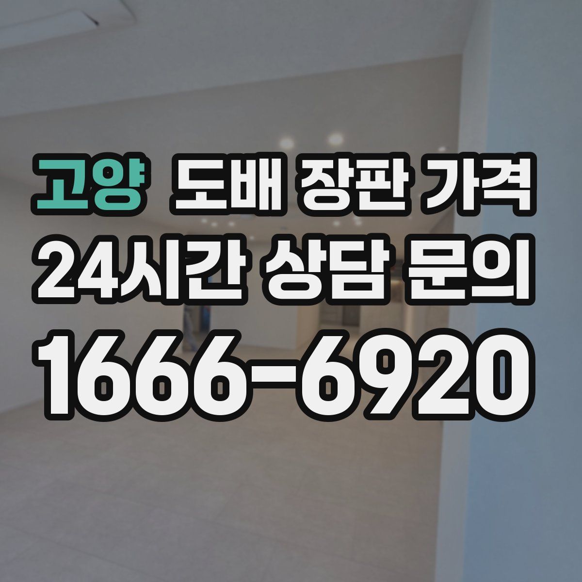 고양 도배 장판 가격