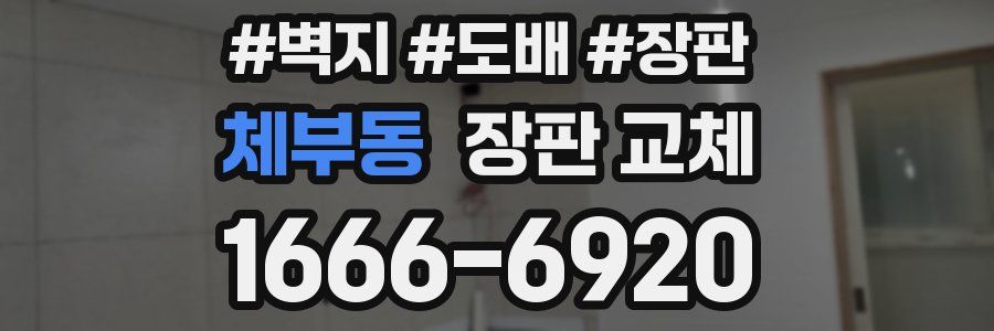 체부동 장판 교체
