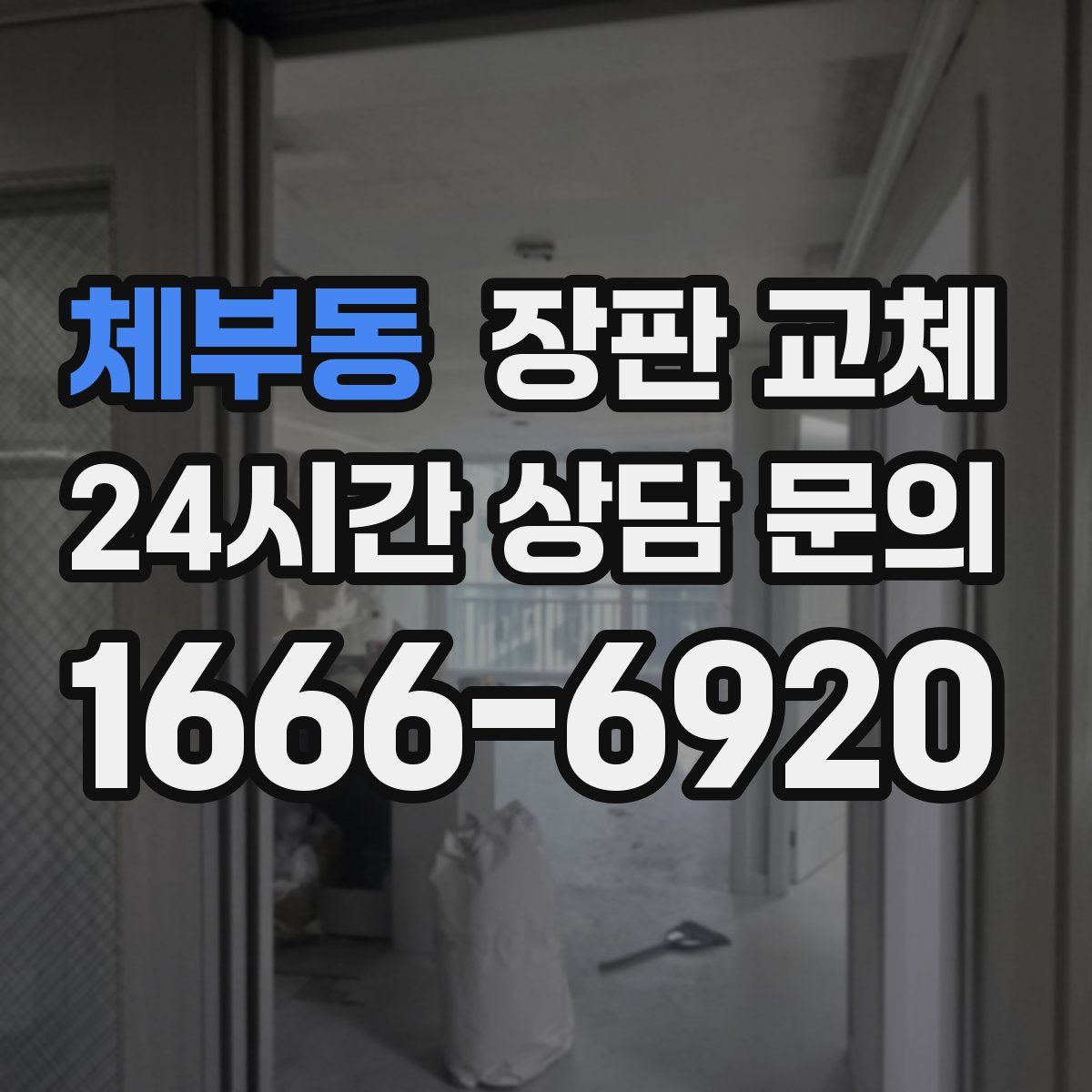 체부동 장판 교체