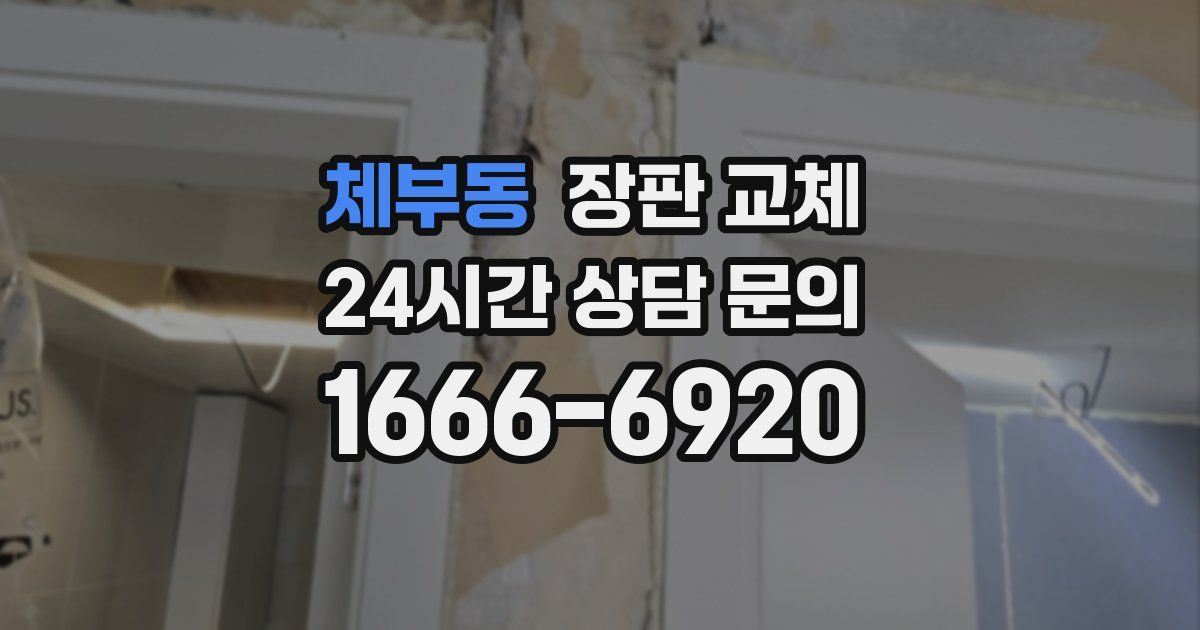체부동 장판 교체