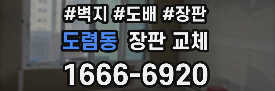 도렴동 장판 교체