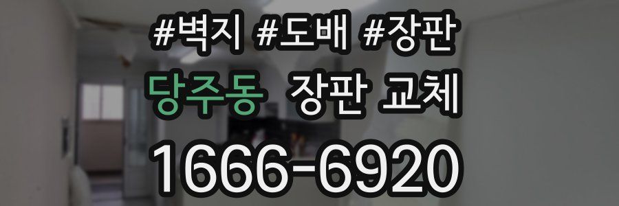 당주동 장판 교체