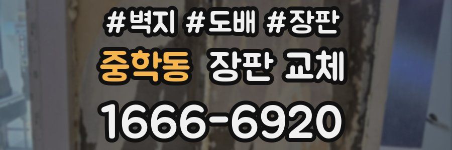 중학동 장판 교체