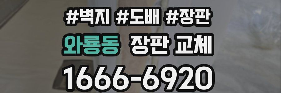 와룡동 장판 교체