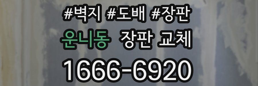 운니동 장판 교체