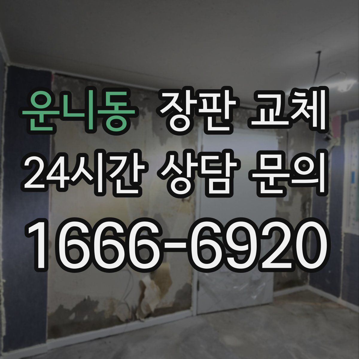 운니동 장판 교체