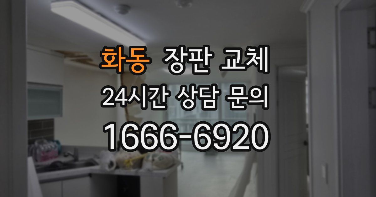 화동 장판 교체