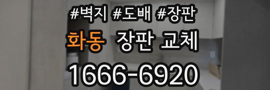 화동 장판 교체