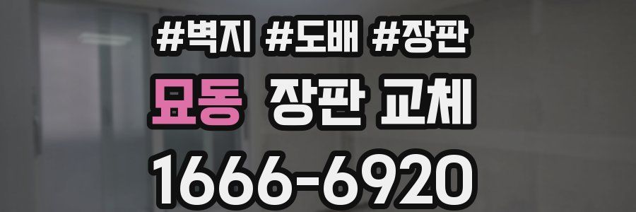 묘동 장판 교체