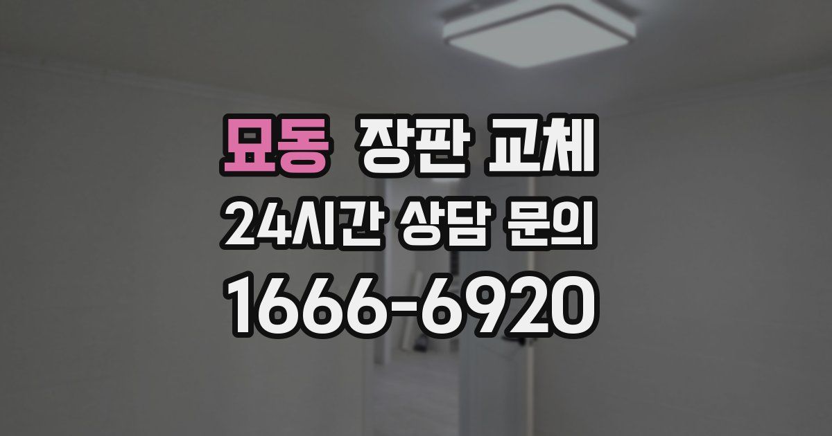 묘동 장판 교체