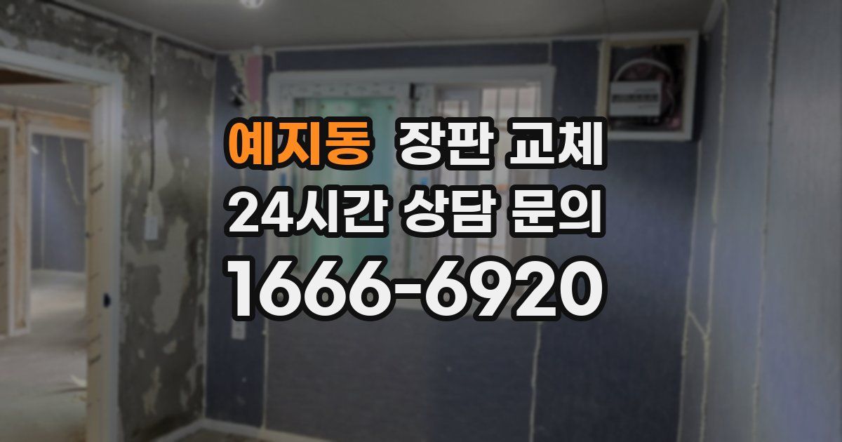 예지동 장판 교체