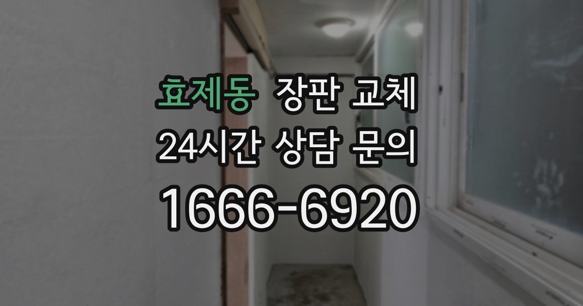 효제동 장판 교체