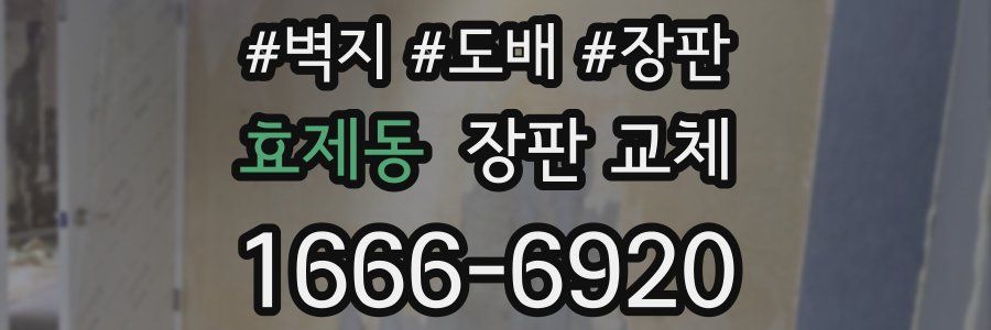 효제동 장판 교체