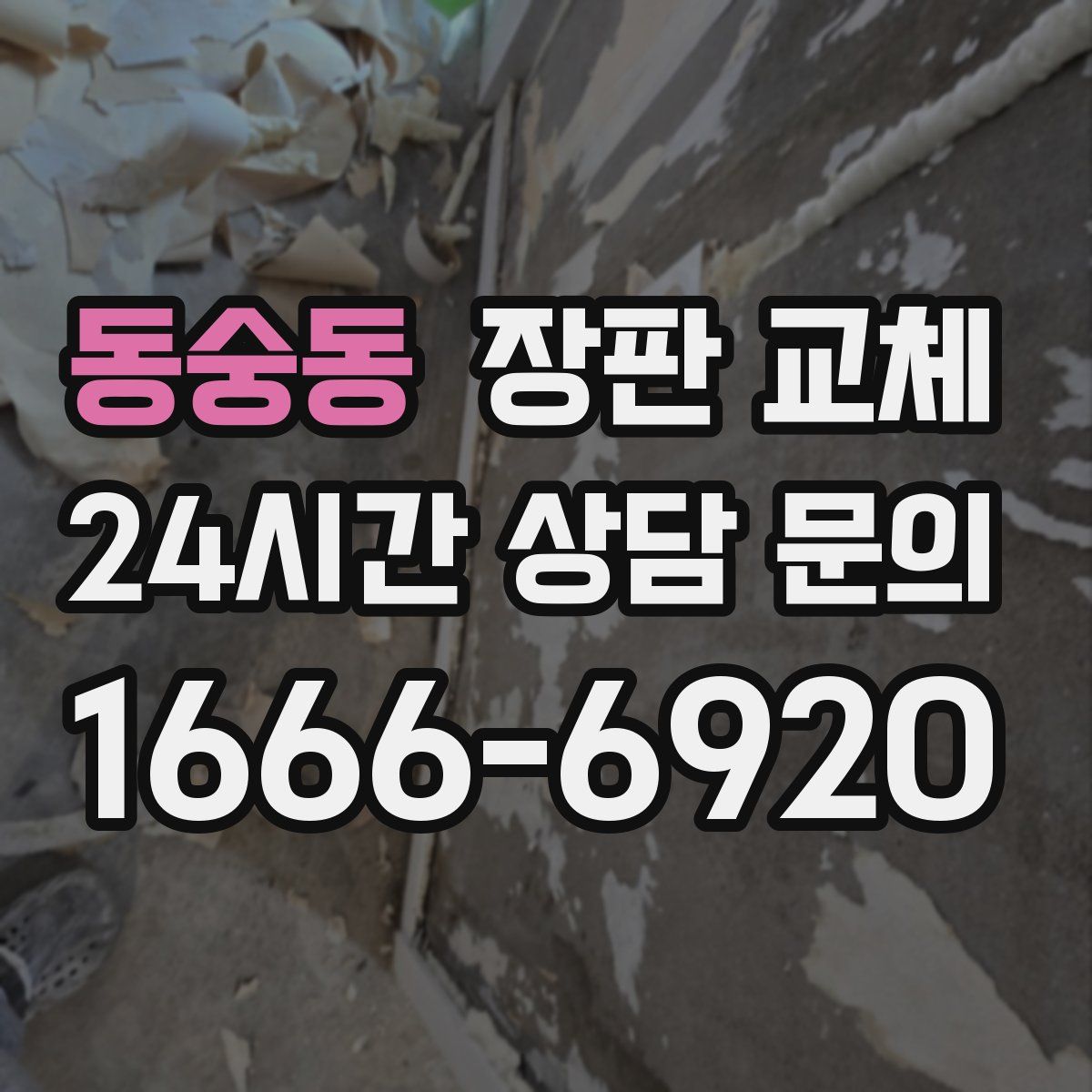 동숭동 장판 교체