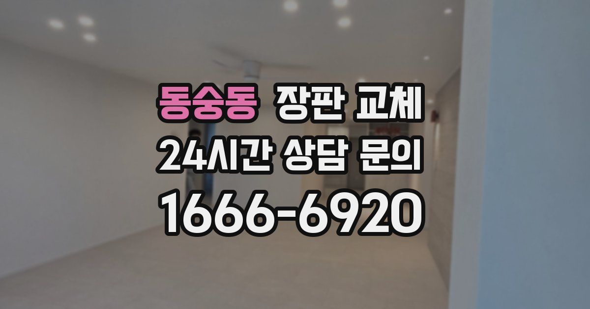동숭동 장판 교체