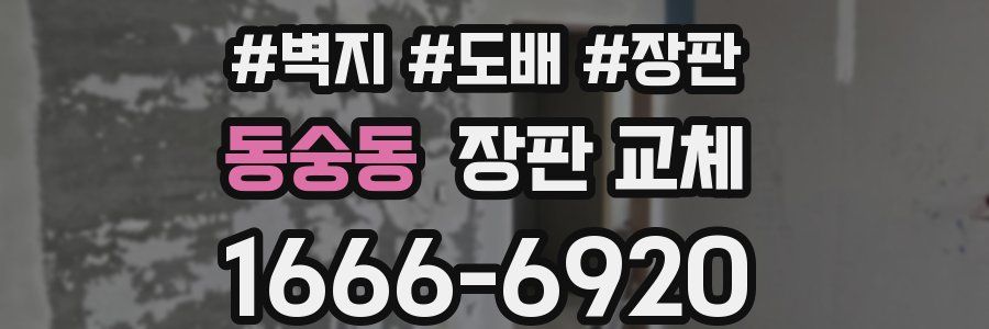 동숭동 장판 교체