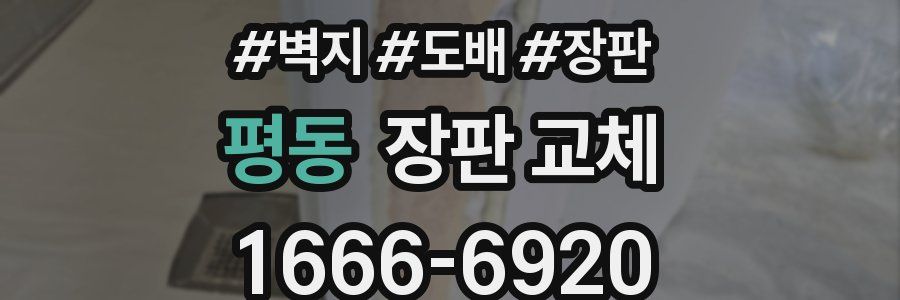 평동 장판 교체