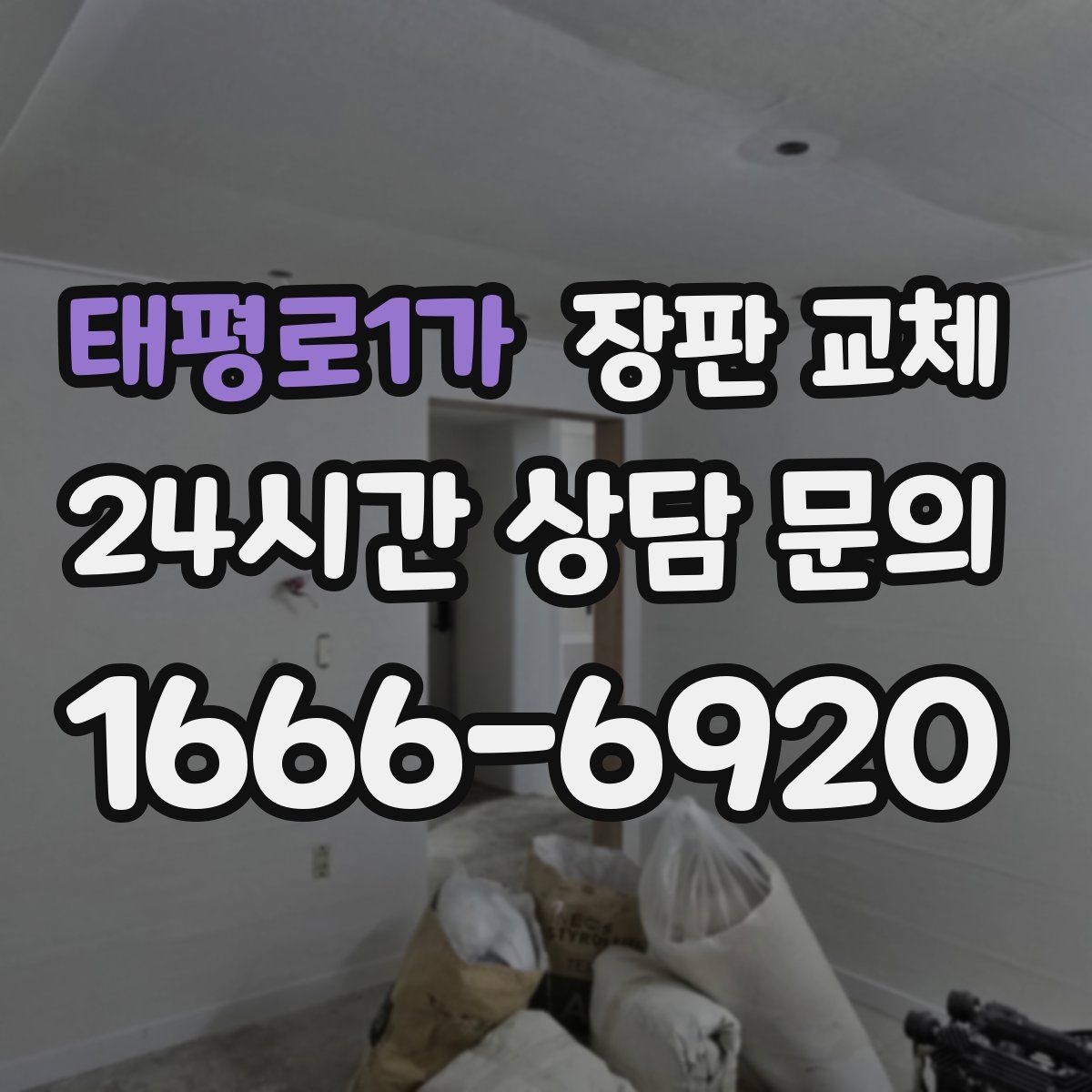 태평로1가 장판 교체