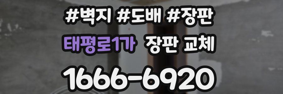 태평로1가 장판 교체