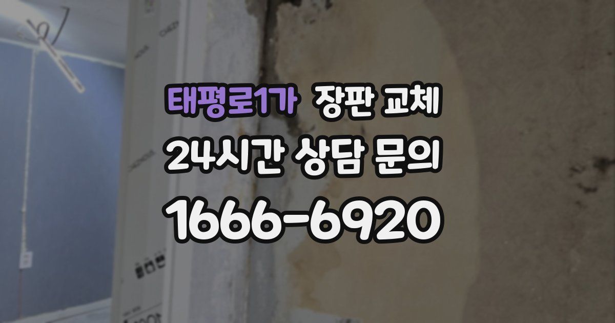 태평로1가 장판 교체