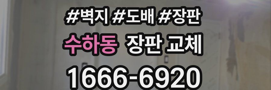 수하동 장판 교체