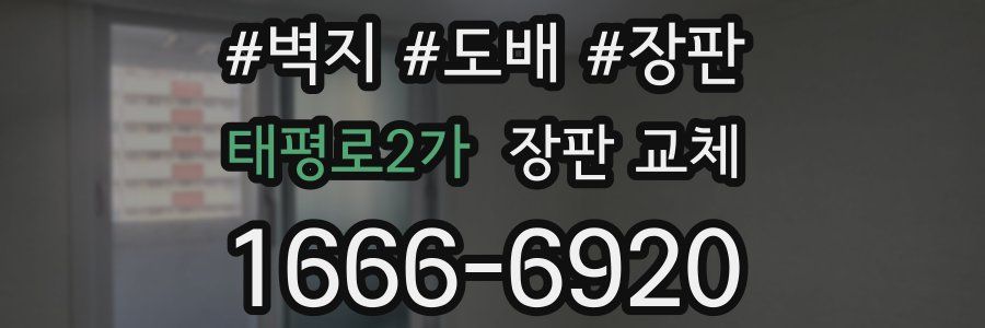태평로2가 장판 교체