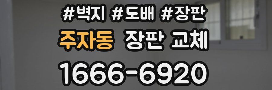 주자동 장판 교체