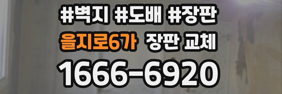 을지로6가 장판 교체