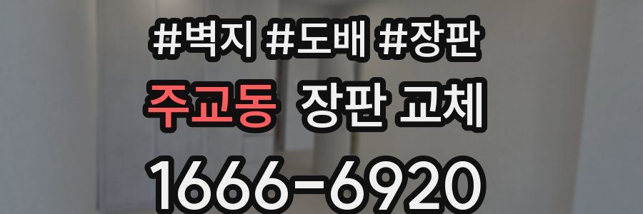 주교동 장판 교체