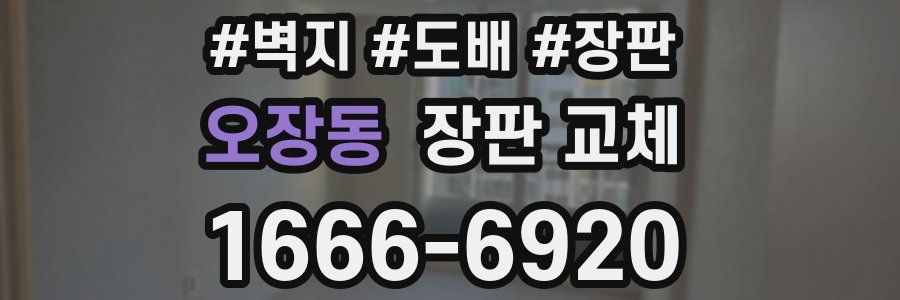 오장동 장판 교체