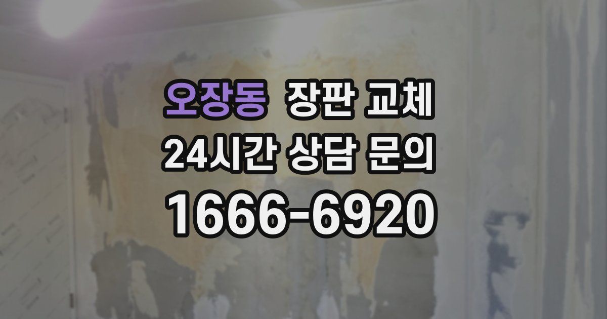 오장동 장판 교체