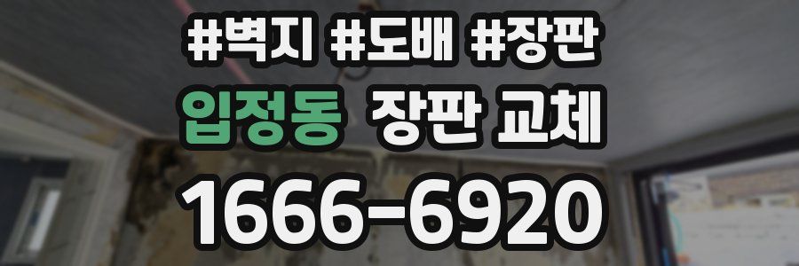 입정동 장판 교체