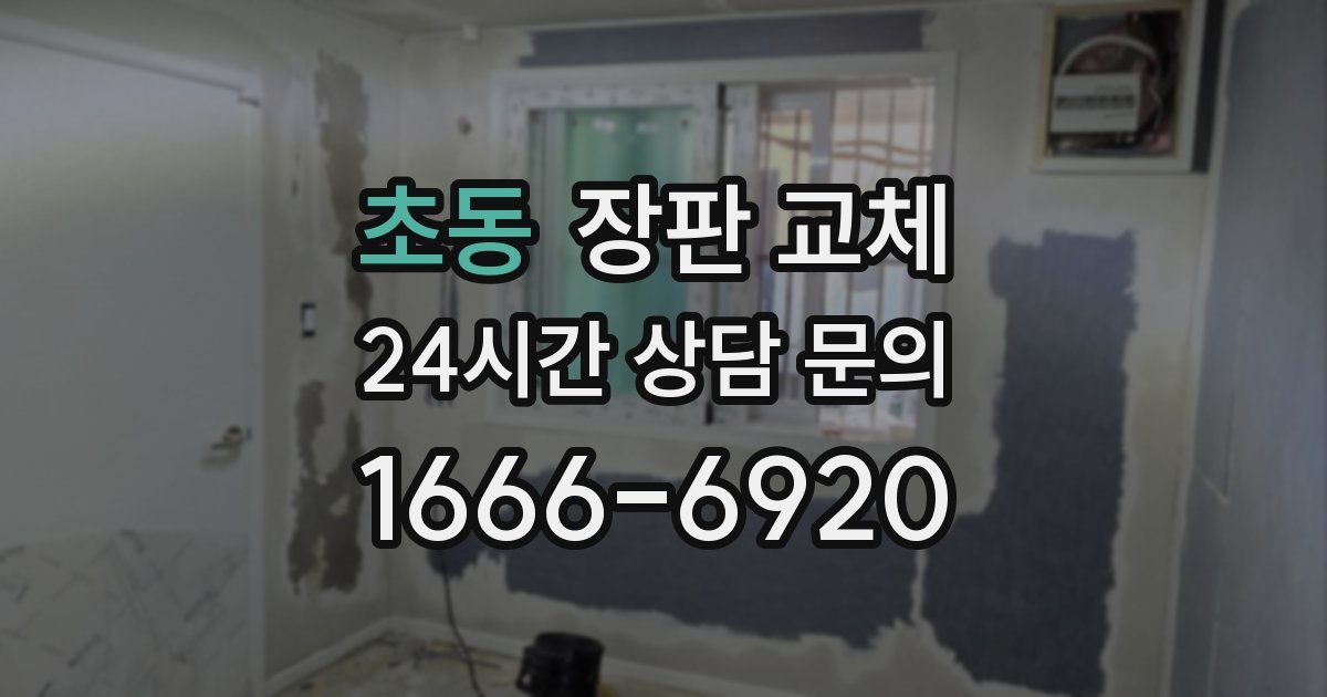 초동 장판 교체
