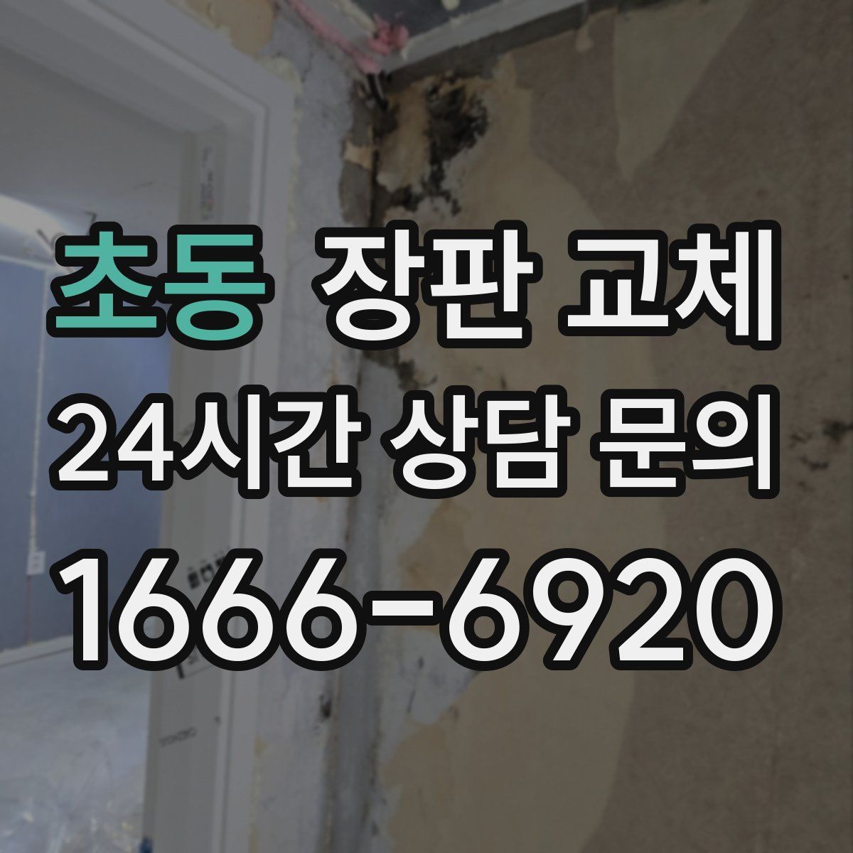 초동 장판 교체