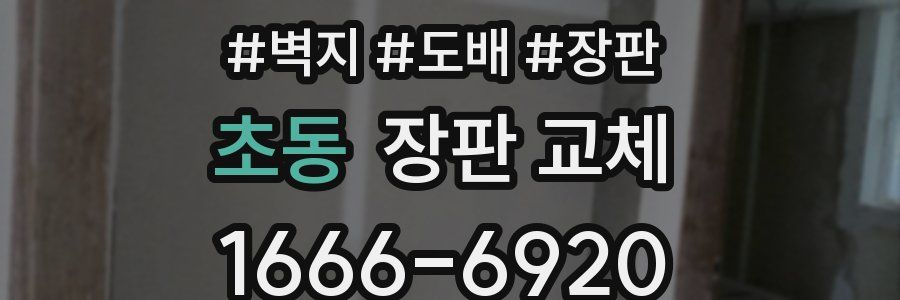 초동 장판 교체