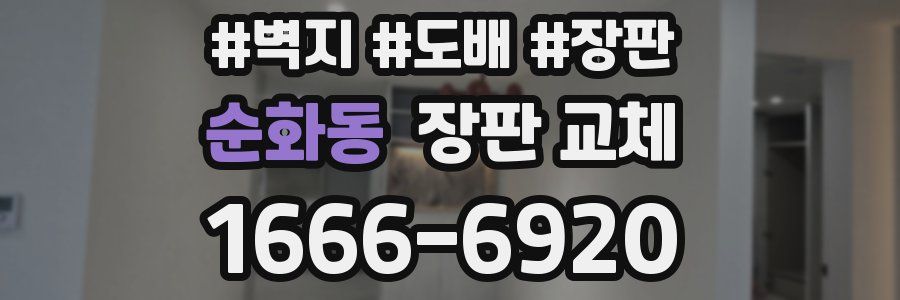 순화동 장판 교체
