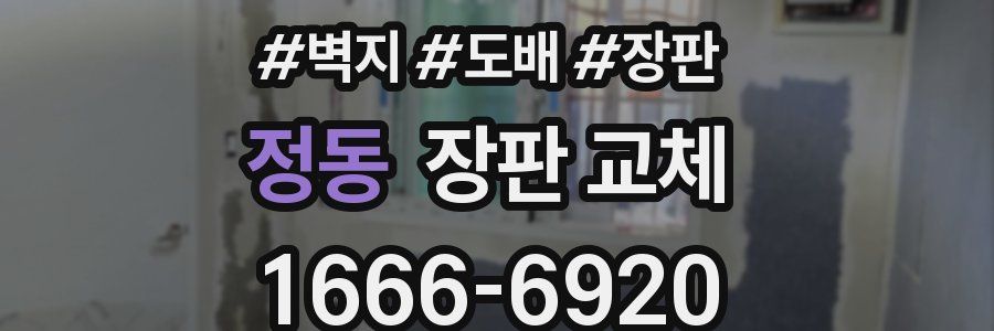 정동 장판 교체